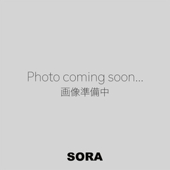 ARC'TERYX(アークテリクス) |クラッグ SL コットン S/S メンズ