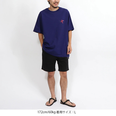 ARC'TERYX(アークテリクス) |[アークテリクス]クラッグ コットン ロゴ ショートスリーブ メンズ