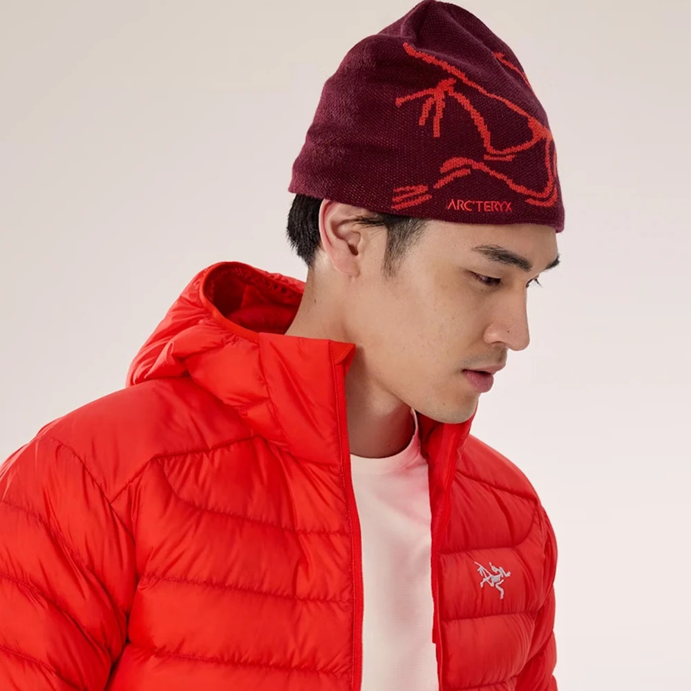 ARC’TERYX Bird Head Toque バードヘッドトーク アークテリクス - バードヘッドトーク - DISTANCE