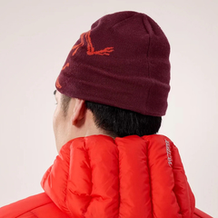 ARC'TERYX(アークテリクス) |[アークテリクス]バード ヘッド トーク