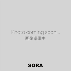 ARC'TERYX(アークテリクス) |[アークテリクス]ヒリアド 15 バックパック