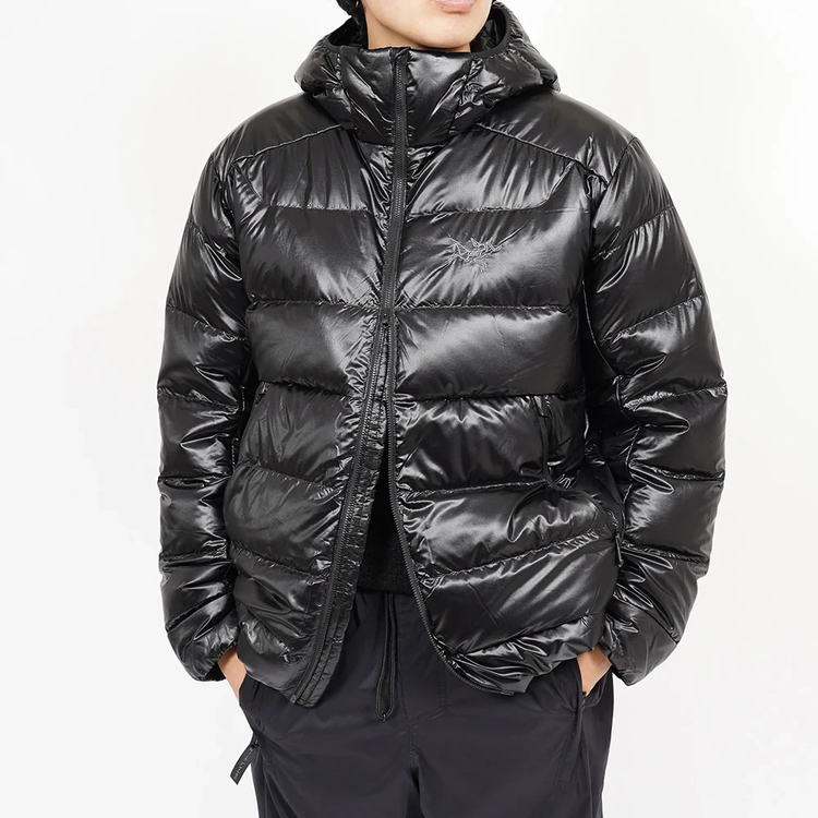 ARC'TERYX(アークテリクス) |[アークテリクス]セリウム SV フーディ メンズ