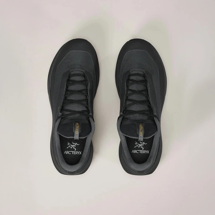アークテリクス]ノーバン LD 4 ゴアテックス メンズ / ARC'TERYX