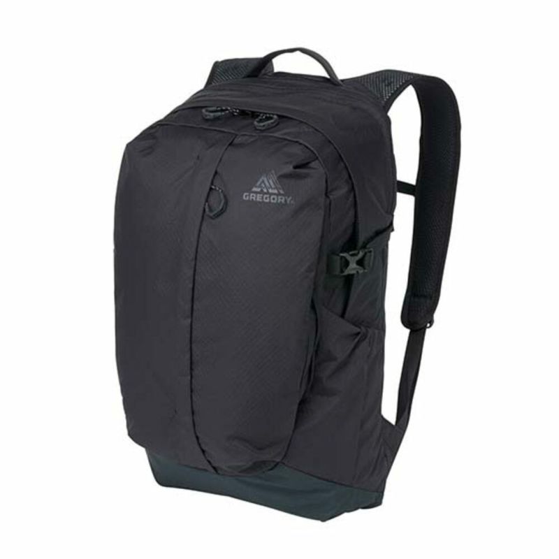 グレゴリー エイン：ザ モダン ホーム アズ ソシアル グレゴリー