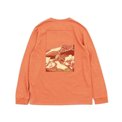 patagonia(パタゴニア) |[パタゴニア]ロングスリーブ・トレイルウェイズ・ポケット・レスポンシビリティー