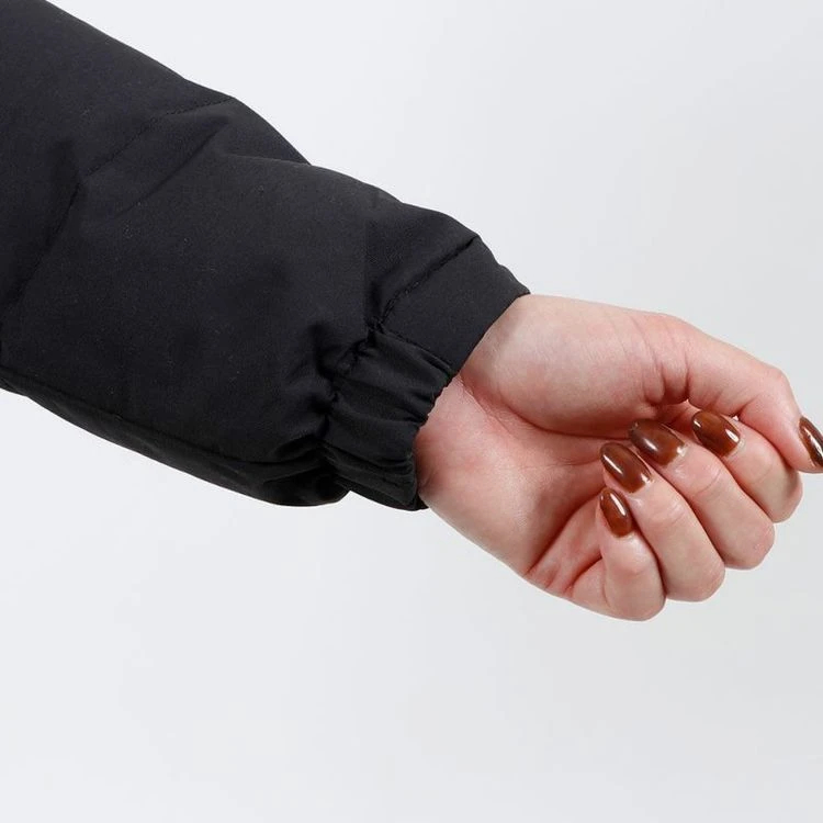 パタゴニア]ウィメンズ・ダウンドリフト・パーカ / patagonia