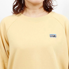 patagonia(パタゴニア) |[パタゴニア]ウィメンズ・ROC・コットン・エッセンシャル・トップ