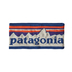 patagonia(パタゴニア)通販 | [パタゴニア]パウダー・タウン・ヘッドバンド
