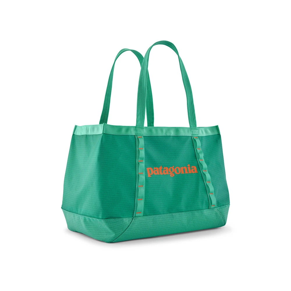 パタゴニア]ブラックホール・トート 25L / patagonia（パタゴニア