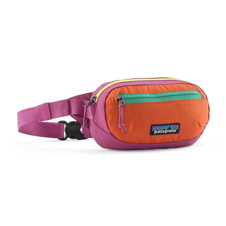パタゴニア]テラヴィア・ミニ・ヒップ・パック 1L / patagonia