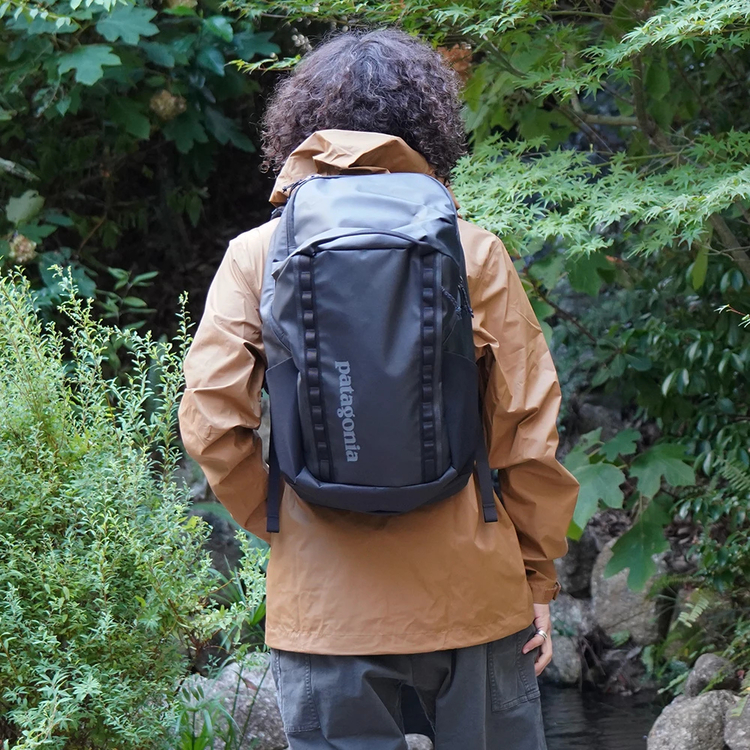 パタゴニア]ブラックホール・パック 32L / patagonia（パタゴニア