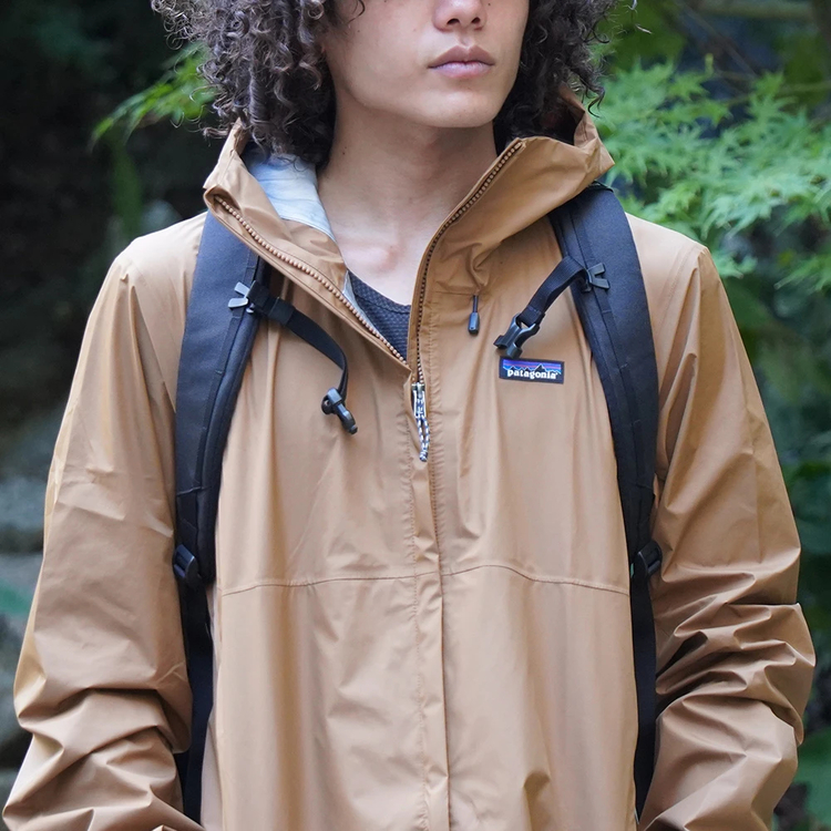 パタゴニア]ブラックホール・パック 32L / patagonia（パタゴニア