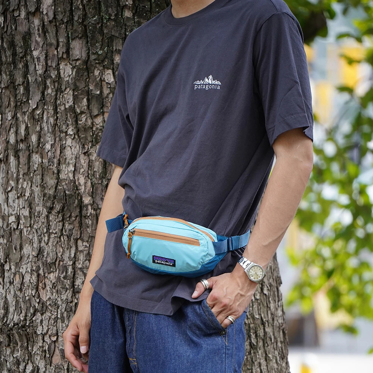 パタゴニア]テラヴィア・ミニ・ヒップ・パック 1L / patagonia