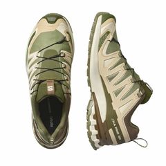 SALOMON(サロモン) |[サロモン]XA プロ 3D V9 GTX