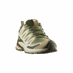 SALOMON(サロモン) |[サロモン]XA プロ 3D V9 GTX