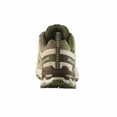 SALOMON(サロモン) |[サロモン]XA プロ 3D V9 GTX