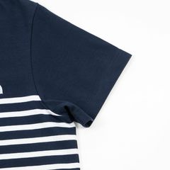 THE NORTH FACE(ザ・ノース・フェイス) |[ザ・ノース・フェイス]ショートスリーブパネルボーダーティー（レディース）