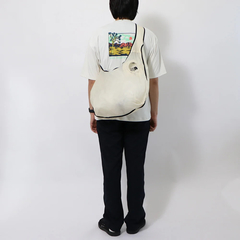 THE NORTH FACE(ザ・ノース・フェイス) |[ザ・ノース・フェイス]アストラ L