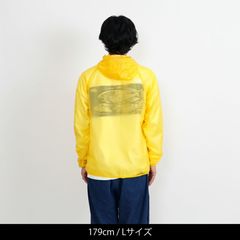 THE NORTH FACE(ザ・ノース・フェイス) |[ザ・ノース・フェイス]FREE RUN ANORAK