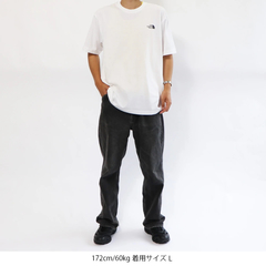 THE NORTH FACE(ザ・ノース・フェイス) |[ザ・ノース・フェイス]S/Sフラッシュドライセブンサミットグラフィックティー（ユニセックス）