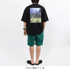 THE NORTH FACE(ザ・ノース・フェイス) |[ザ・ノース・フェイス]S/Sヨセミテシーナリーティー（ユニセックス）