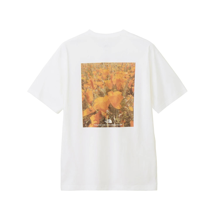 THE NORTH FACE(ザ・ノース・フェイス) |[ザ・ノース・フェイス]S/S FDピクセルプラントコットンティー（ユニセックス）