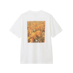 THE NORTH FACE(ザ・ノース・フェイス) |[ザ・ノース・フェイス]S/S FDピクセルプラントコットンティー（ユニセックス）