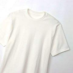 Hanes(ヘインズ) |1P SHIROクルーネックティーシャツ