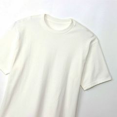 Hanes(ヘインズ) |1P SHIROクルーネックティーシャツ -XXLサイズ-