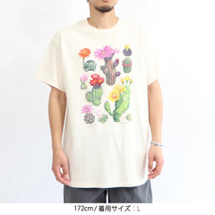 LIBERTY GRAPHICS(リバティグラフィックス) |[リバティグラフィックス]デザートフラワーズ