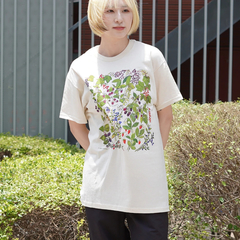 LIBERTY GRAPHICS(リバティグラフィックス) |[リバティグラフィックス]ベリーズ