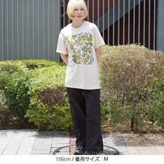 LIBERTY GRAPHICS(リバティグラフィックス) |[リバティグラフィックス]ベリーズ