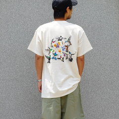 LIBERTY GRAPHICS(リバティグラフィックス) |[リバティグラフィックス]ハミングバード