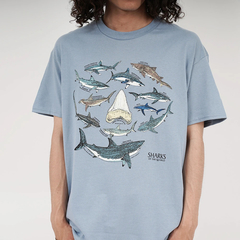 Tシャツ・カットソー 30件目～ | SORA(ソラ) 公式サイト（ソラコウシキ