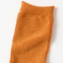 AmwR(アムワー) |[アムワー]シルク ダブルフェイス ソックス